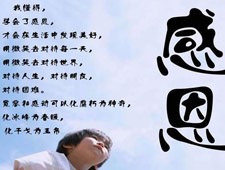 ɽ���»�ѧ��ƽ����Ʒ-ѧ��ж�