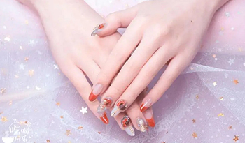 文化课+理论课+实践课